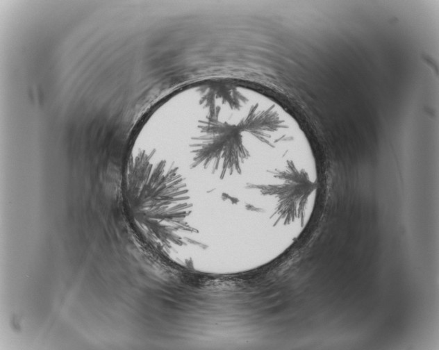 X0000102471505200809051320