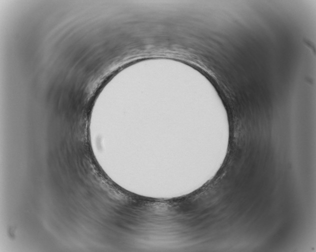 X0000102471507200809051320