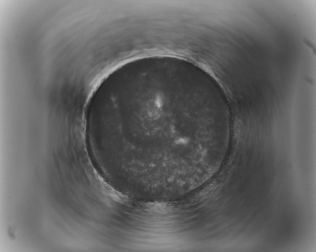 X0000102471508200809051320