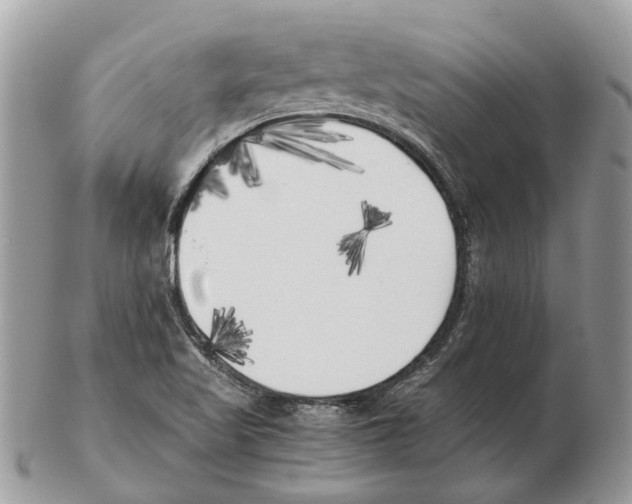 X0000102471509200809051320