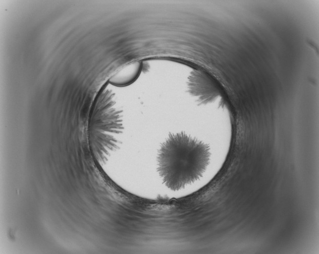 X0000102471513200809051321