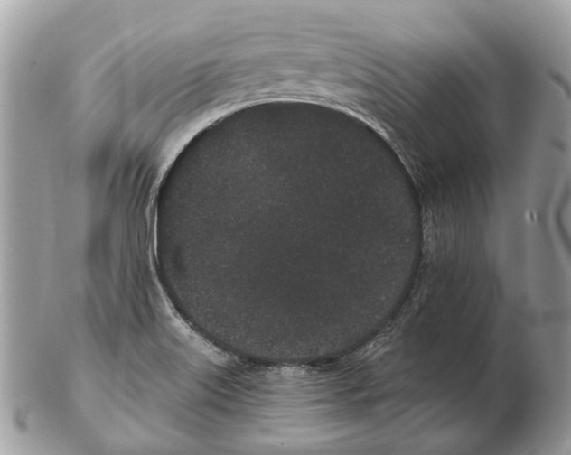 X0000102471515200809051321