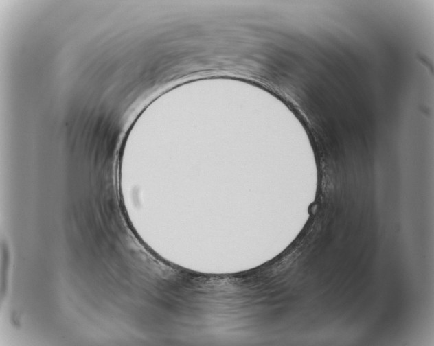 X0000102471516200809051321