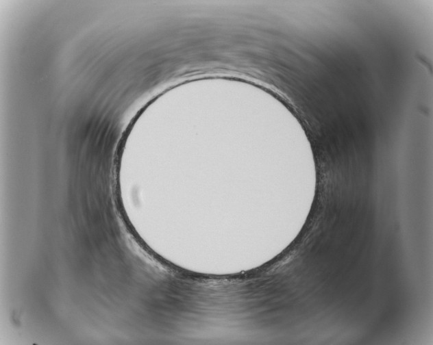 X0000102471518200809051321