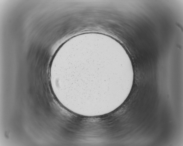 X0000102471519200809051321