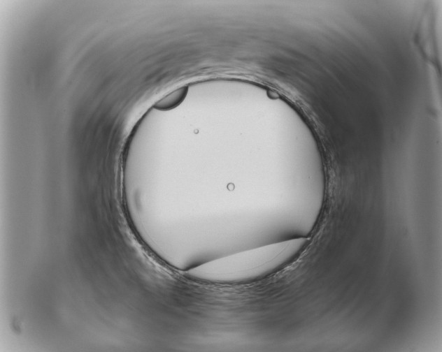 X0000102471520200809051321