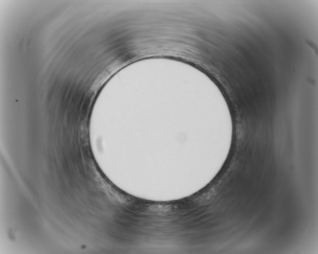 X0000102471521200809051321