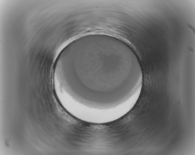 X0000102471522200809051321
