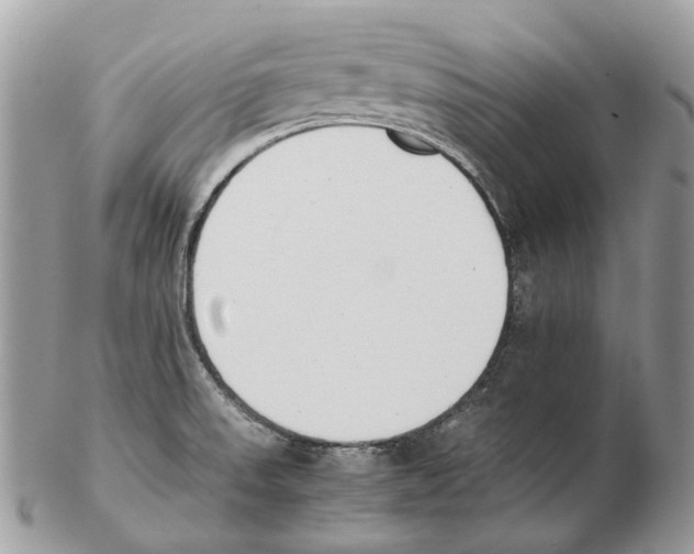 X0000102471523200809051321