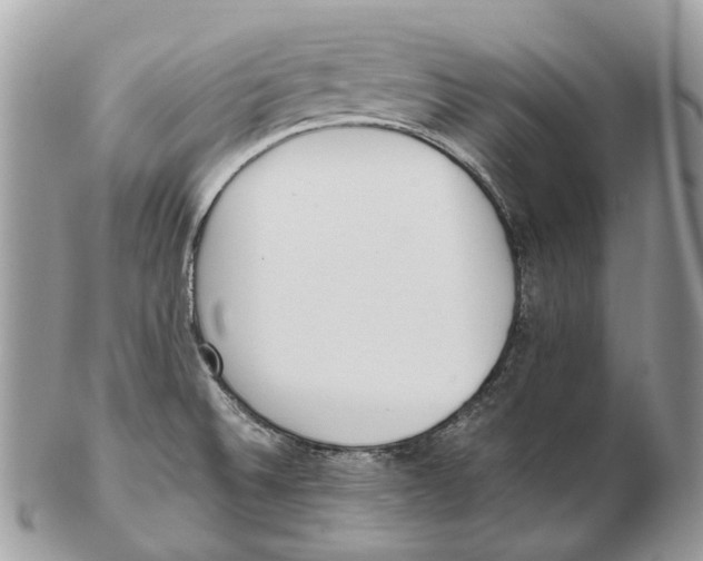 X0000102471524200809051321