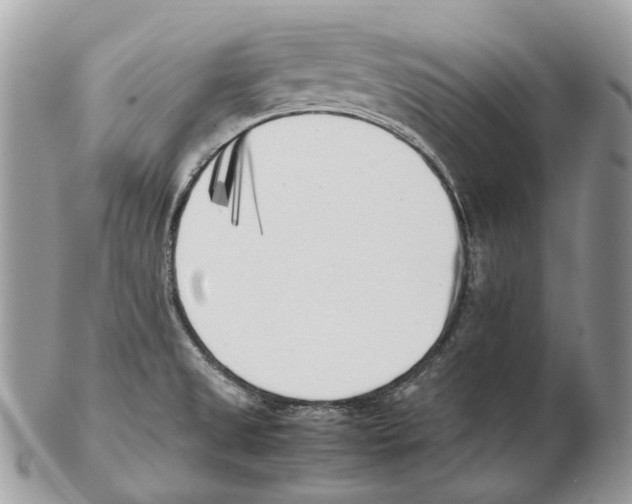 X0000102471525200809051321