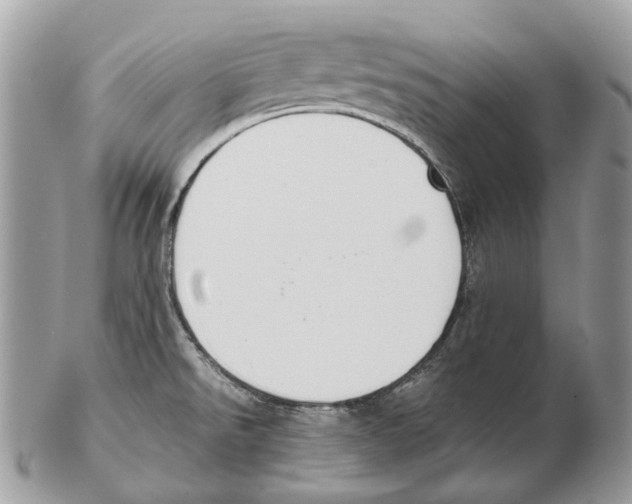 X0000102471526200809051321