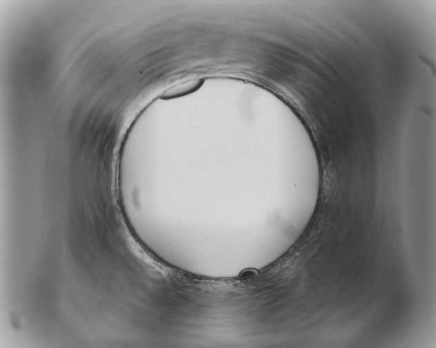 X0000102471528200809051321