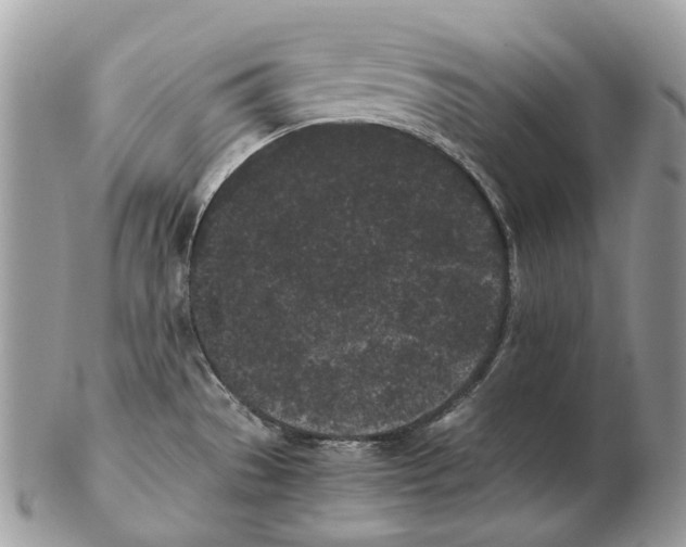 X0000102471529200809051321