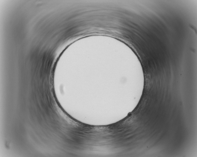 X0000102471531200809051321