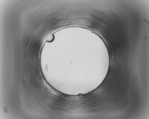 X0000102471532200809051321