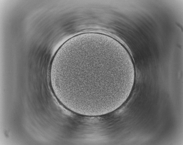 X0000102471533200809051321