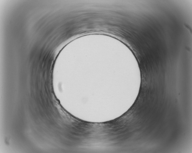 X0000102471534200809051321