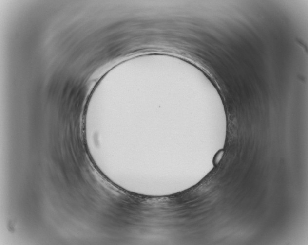 X0000102471535200809051321