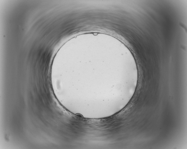 X0000102471536200809051321
