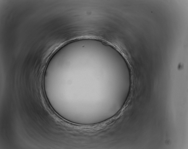X0000102480001200808081043