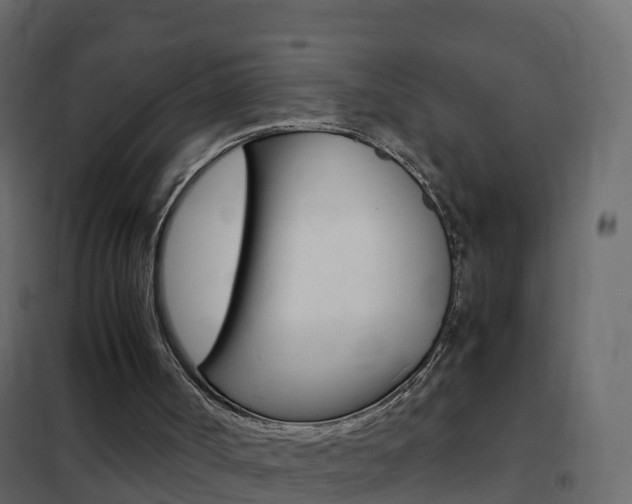 X0000102480002200808081043