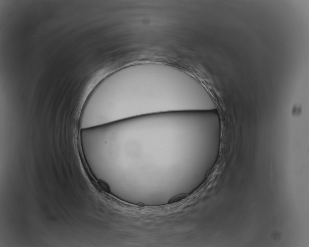 X0000102480003200808081043
