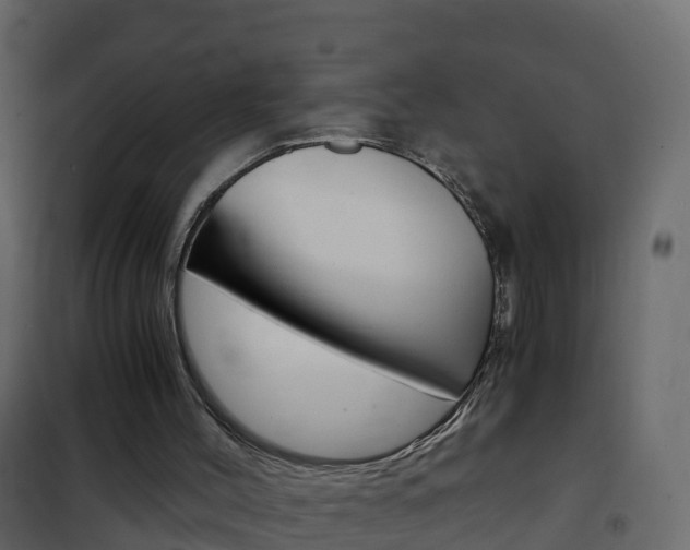 X0000102480004200808081043