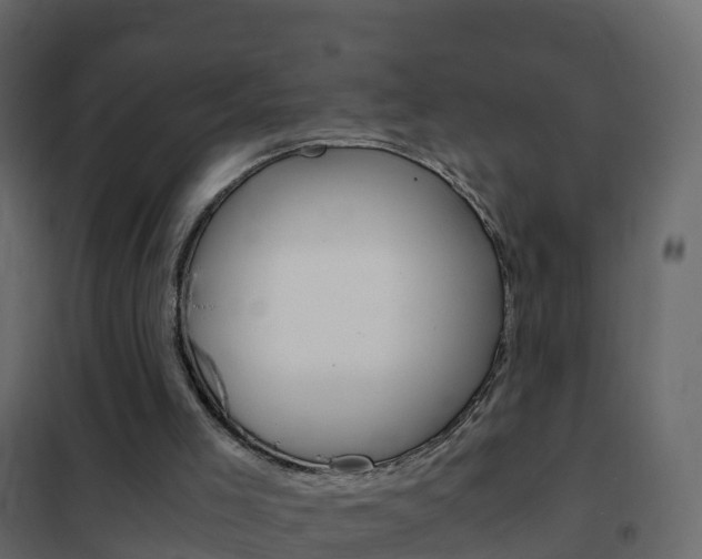 X0000102480005200808081043