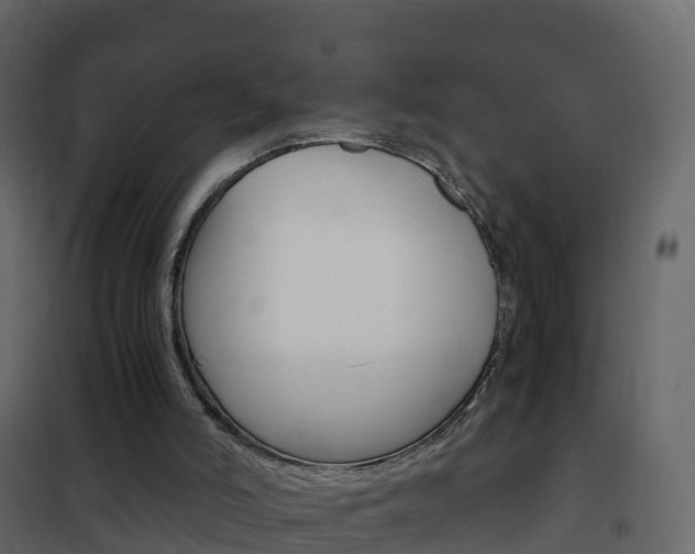 X0000102480006200808081043