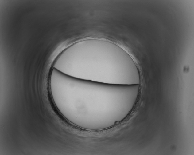 X0000102480007200808081043