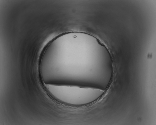X0000102480008200808081043