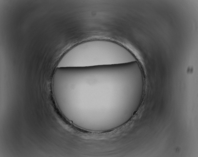 X0000102480009200808081043