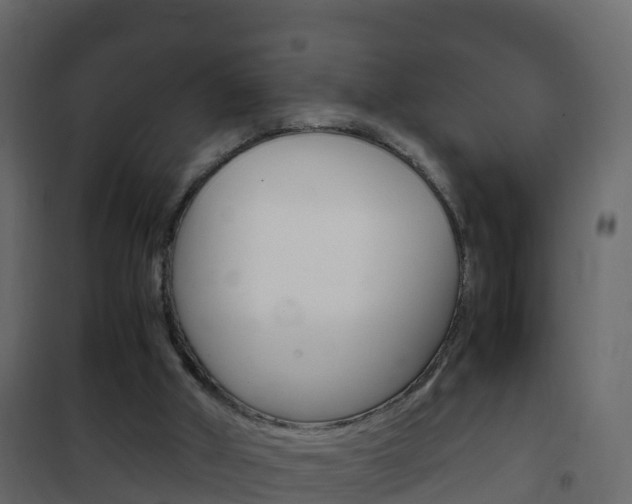 X0000102480010200808081043