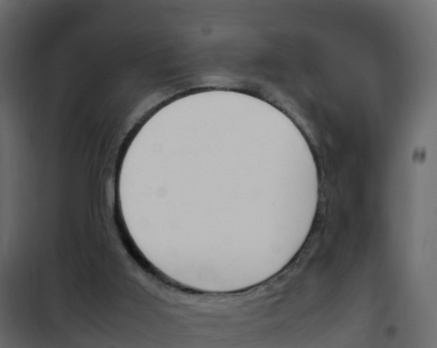 X0000102480011200808081043