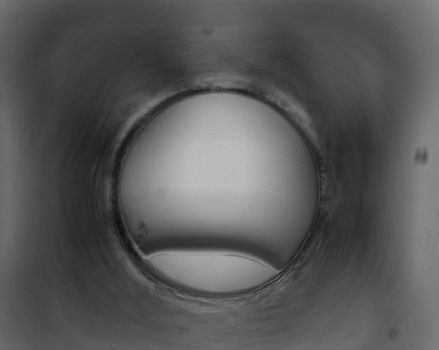 X0000102480012200808081043
