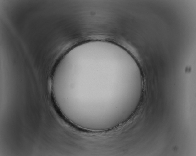 X0000102480013200808081043