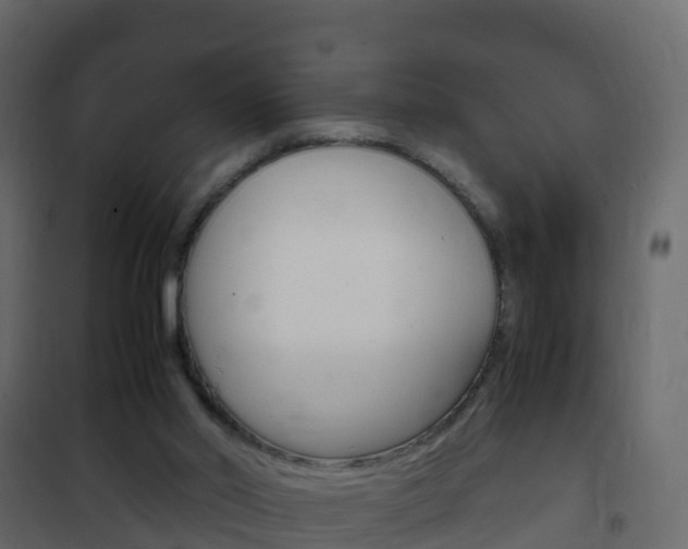 X0000102480014200808081043