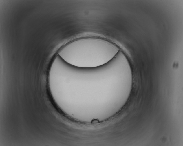 X0000102480015200808081043