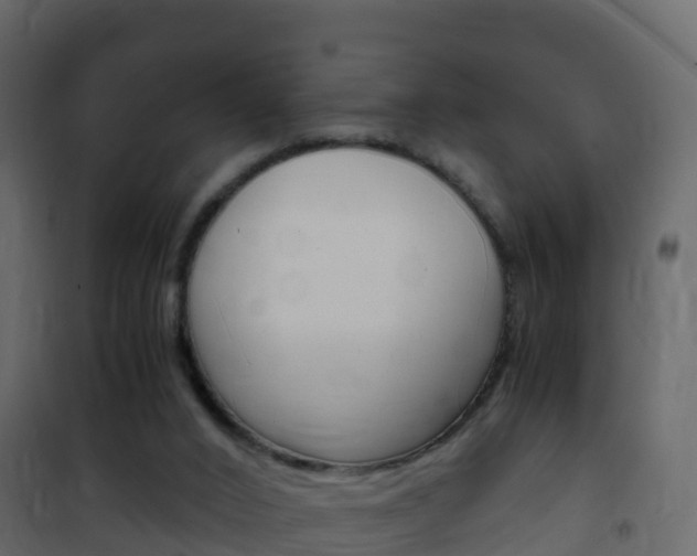 X0000102480016200808081043