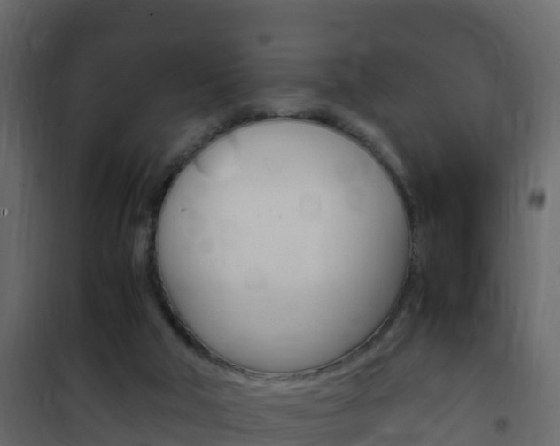 X0000102480018200808081043