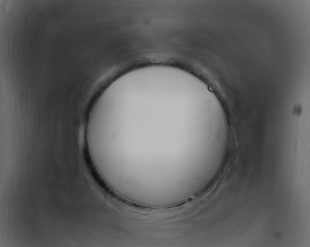 X0000102480019200808081043