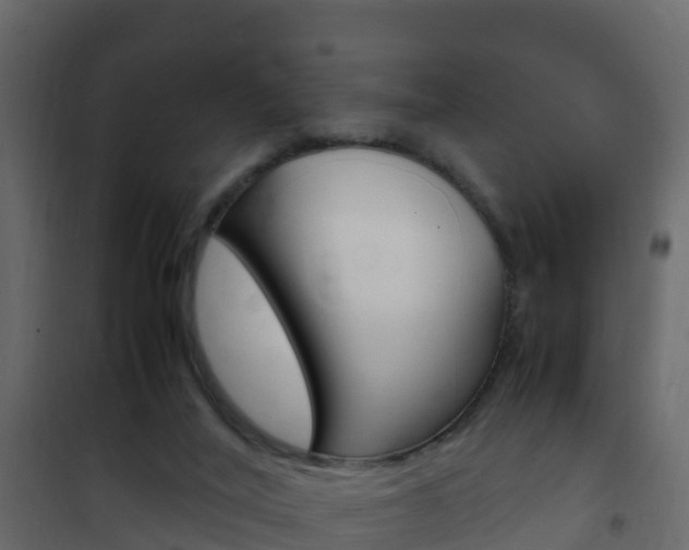 X0000102480020200808081043
