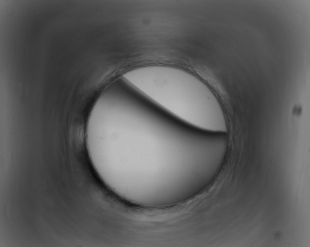 X0000102480021200808081043
