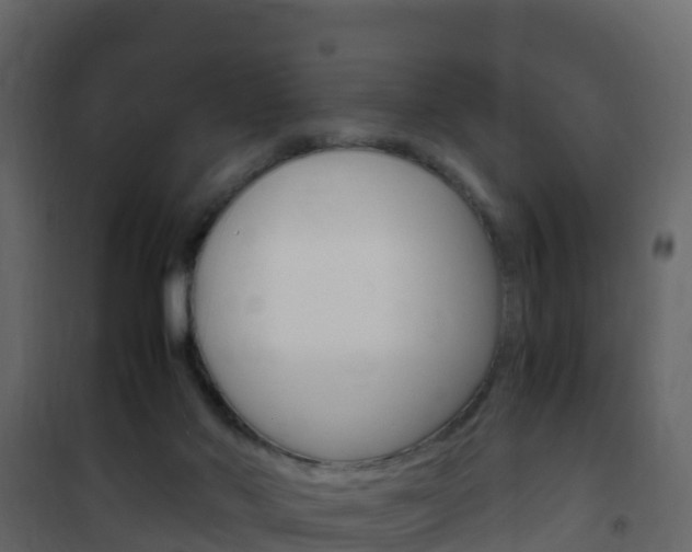 X0000102480022200808081043