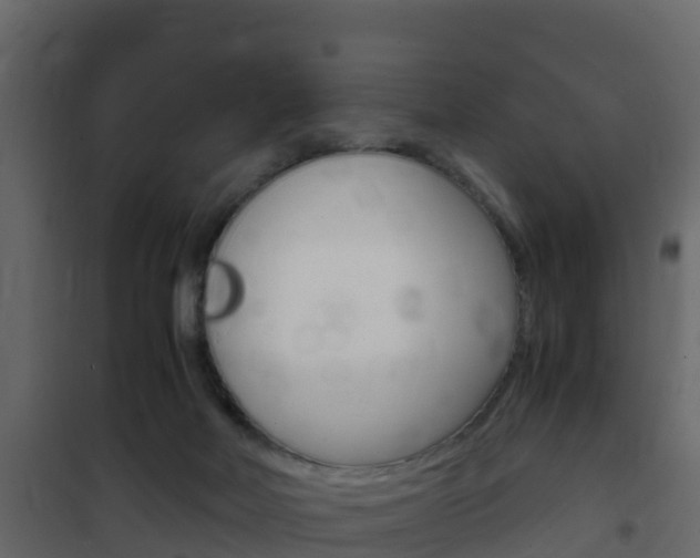 X0000102480026200808081043