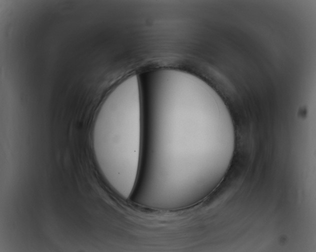X0000102480028200808081043