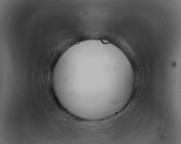 X0000102480029200808081043