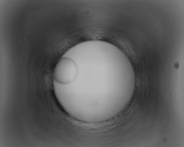 X0000102480030200808081043