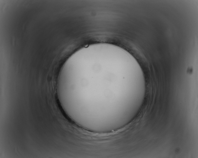 X0000102480031200808081043